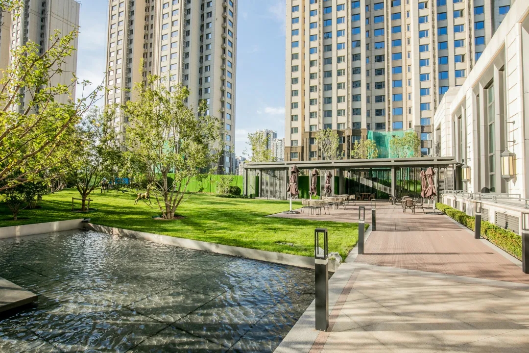 1609414112238482.jpg 640.webp (3).jpg