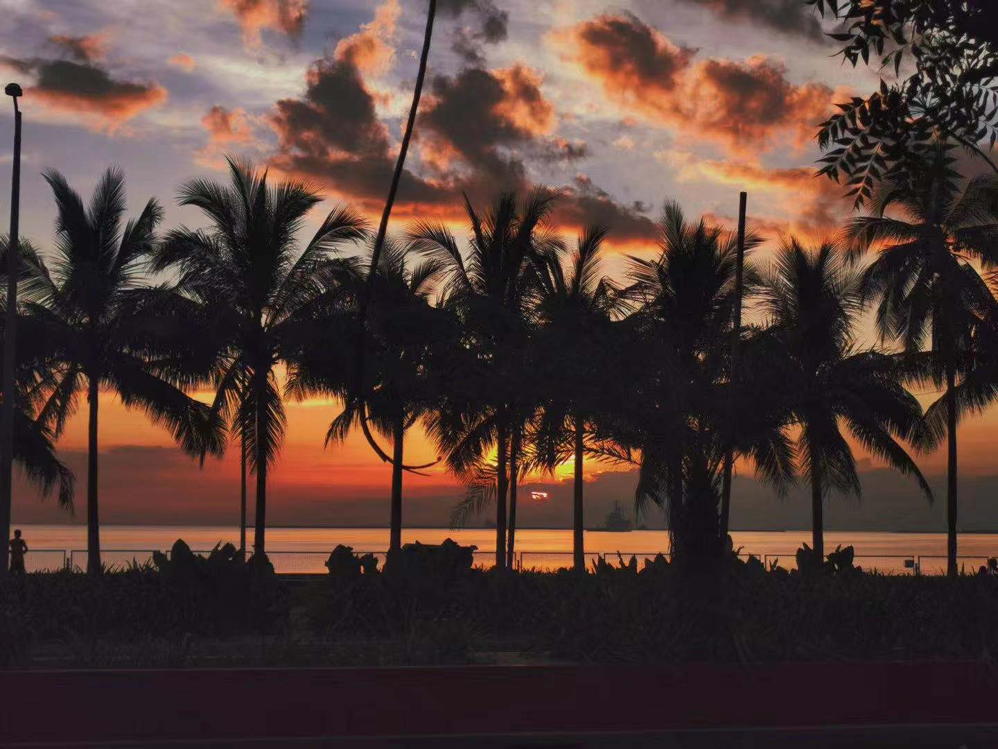 1623806306122051.jpg 微信圖片_20210615093151.jpg